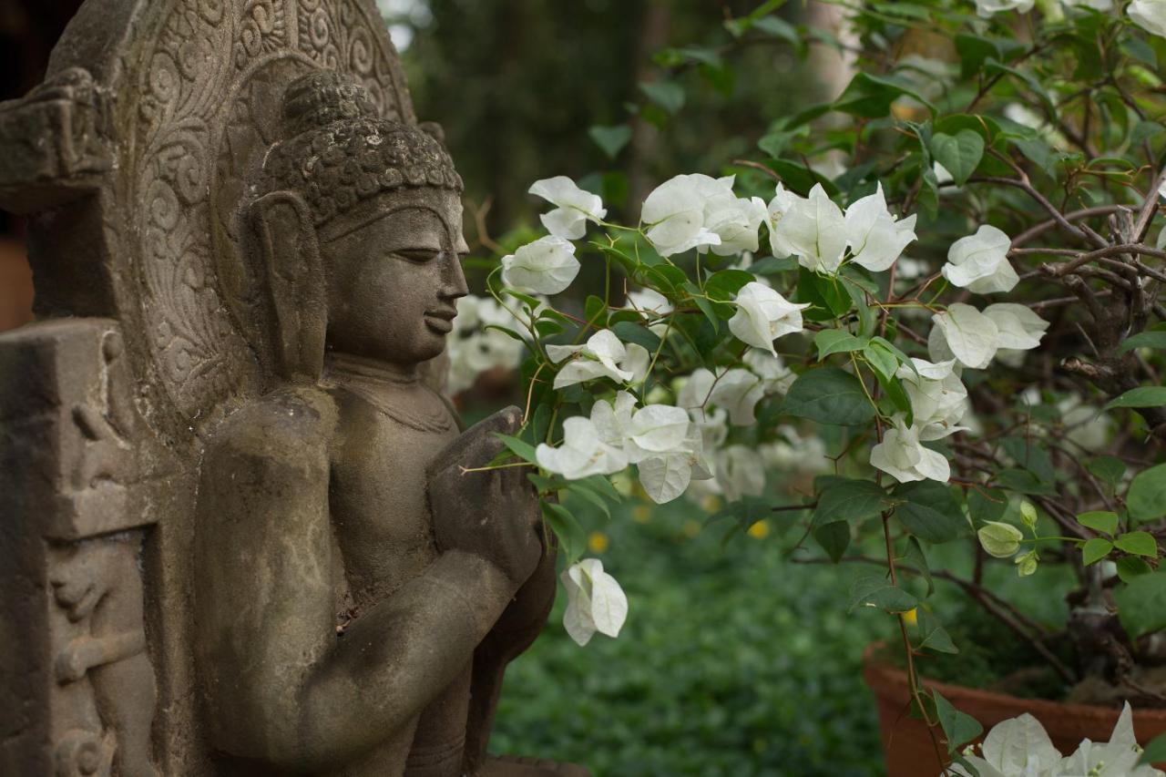 Soma Manaltheeram Ayurveda Beachvillage Kovalam Dış mekan fotoğraf